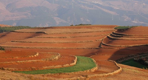 红土地最新消息,红土地最新消息，发展动态与前景展望