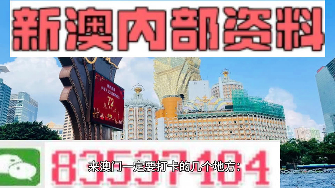 新澳2024正版资料免费公开新澳金牌解密,新澳2024正版资料免费公开，新澳金牌解密与未来展望