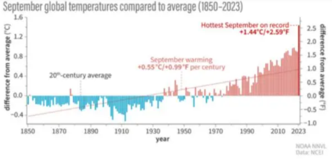 2024新奥历史开奖记录19期,揭秘新奥历史，探寻2024年第19期开奖记录的独特魅力