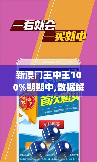 澳门王中王100期期中一期林,澳门王中王100期期中一期林，探索与解析