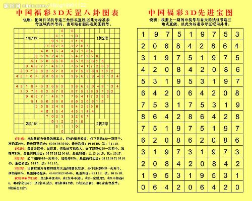 49特彩资料图,揭秘49特彩资料图，探索数字彩票的奥秘