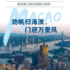 2025澳门精准正版图库,探索澳门正版图库的魅力，展望未来的精准视界（至2025年）